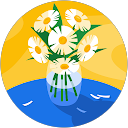 Ann Judd profile picture